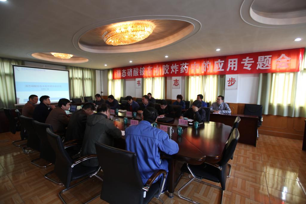 雷鸣科化“液态硝酸铵在水胶炸药中的应用方案”通过o3ncm1djb2i.jpg