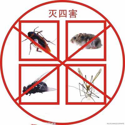 民爆小区开展“爱卫月”环境卫生整治宣传活动iv2k2rntixr.jpg