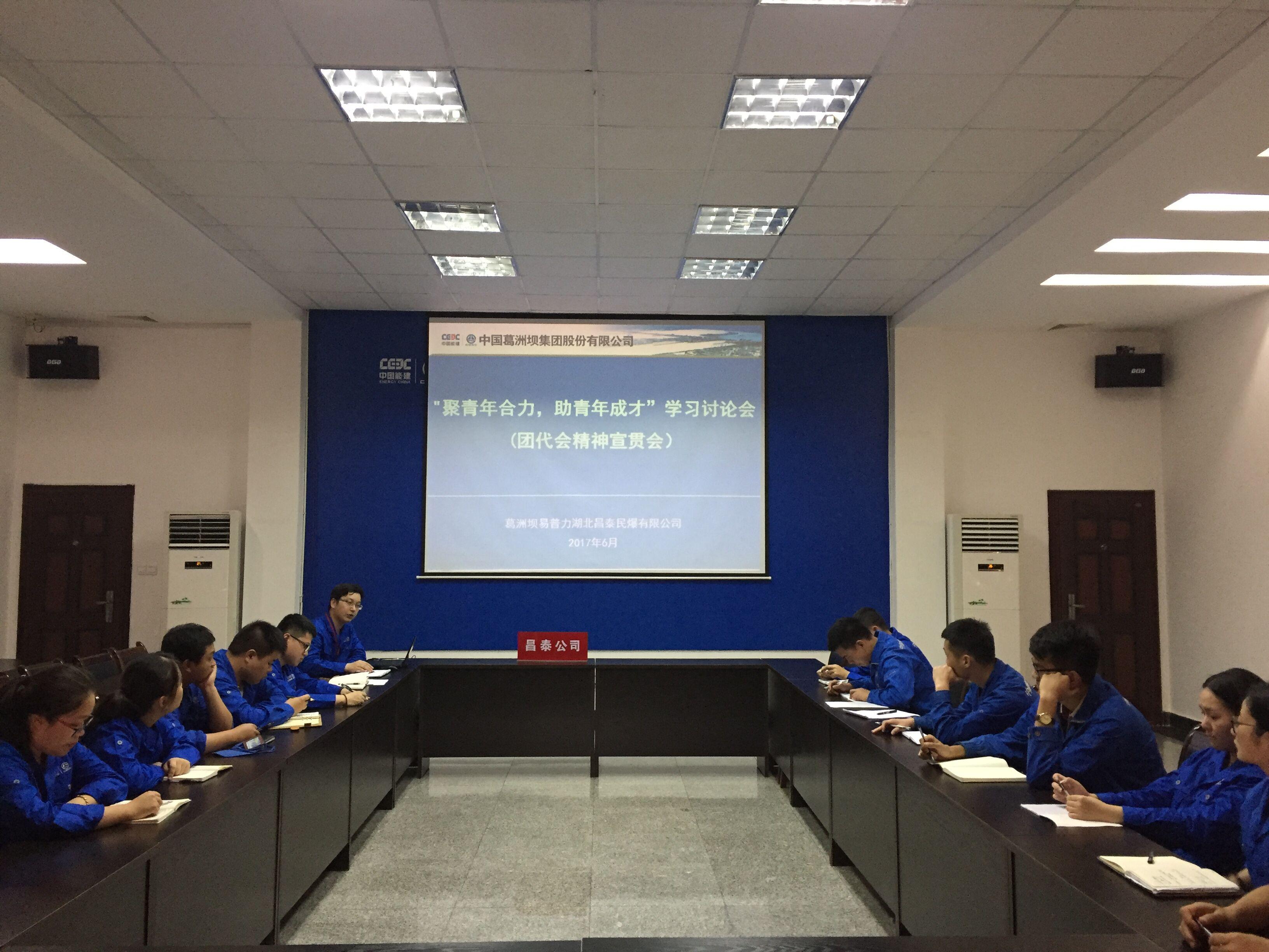 团总支开展“聚青年合力，助青年成才”学习讨论会f5swvqfrjmv.jpg