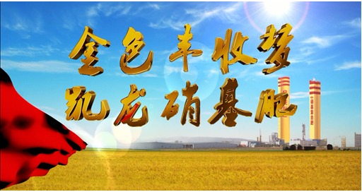 凯龙硝基肥强势登陆央视 行业领先品牌实至名归dx1dciijhsz.png