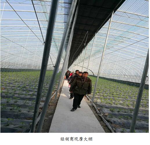 钟祥凯龙楚兴公司生态农业示范基地喜迎第一批参观客wbaidzv1uac.jpg