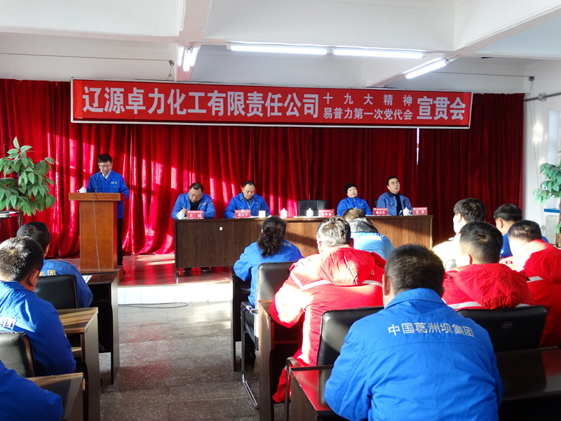 深入学习贯彻党的十九大及公司第一次党代会精神ee1phd415v0.png