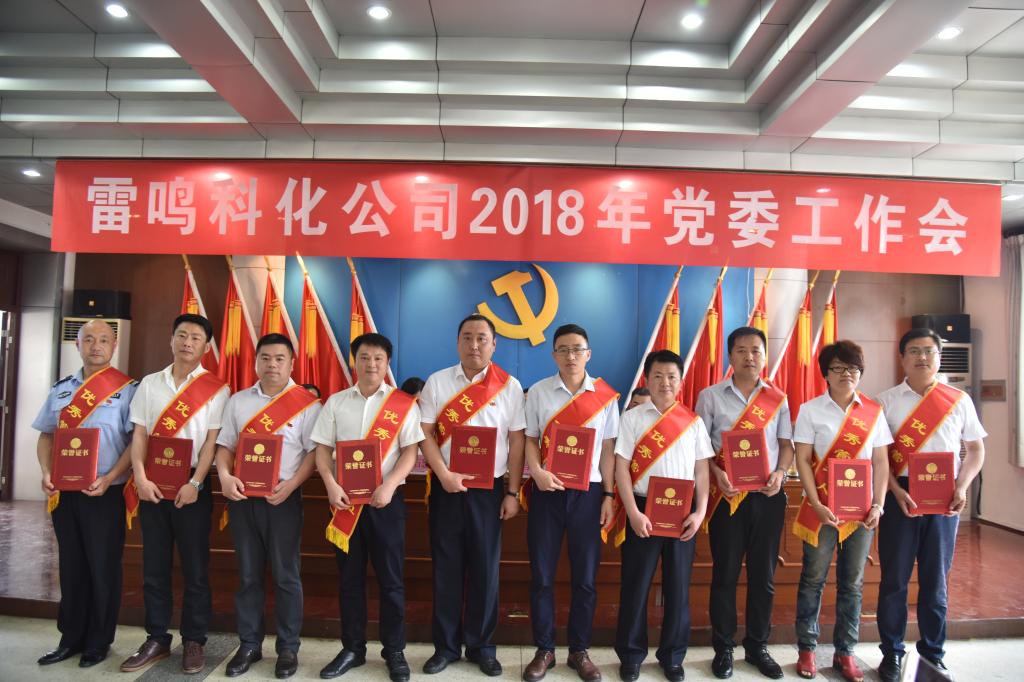 雷鸣科化公司召开2018年党委工作会mjf2yrpstao.jpg