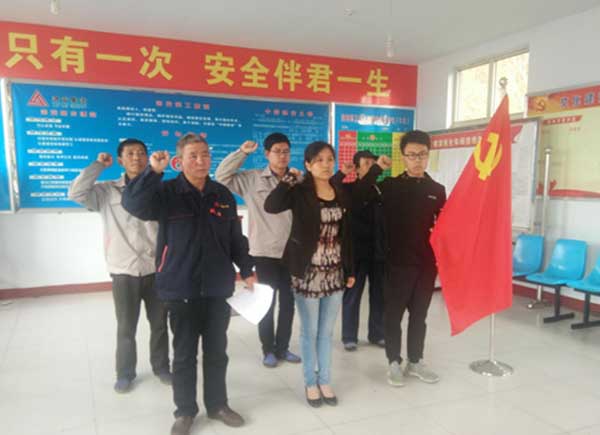 粉状车间党支部开展“美化环境”主题党日活动pj43ixsd2nw.jpg