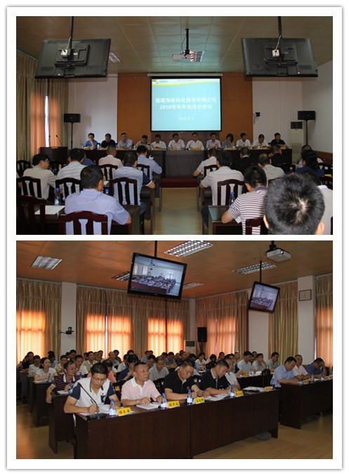 公司召开2018年半年经济分析会om1ided54mw.jpg