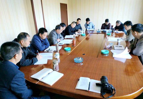 公司党委召开2018年度党员领导干部民主生活会ynptcjbyb5l.jpg