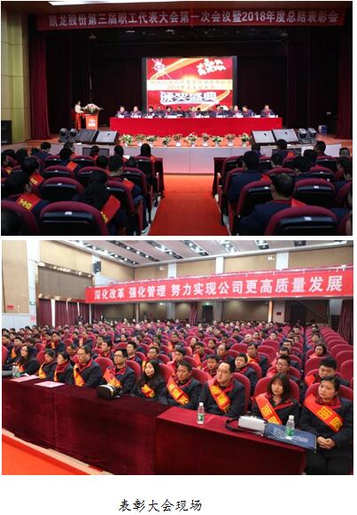 收获喜悦 收获成绩 收获荣耀 凯龙股份2018年度总结表cwty4fxrb0n.jpg