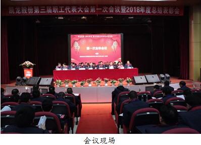 深化改革 强化管理 努力实现公司更高质量发展 凯龙股份三zx3ec5n23h0.jpg