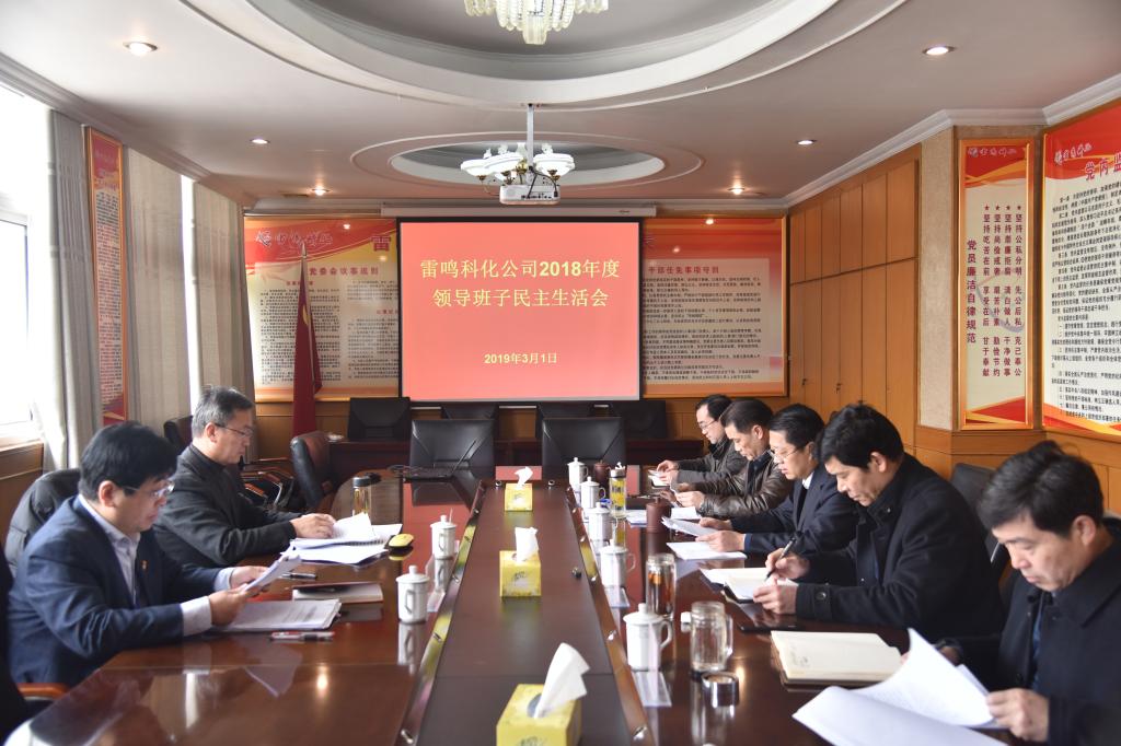 雷鸣科化公司召开2018年度领导班子民主生活会kqyckobu4tw.jpg