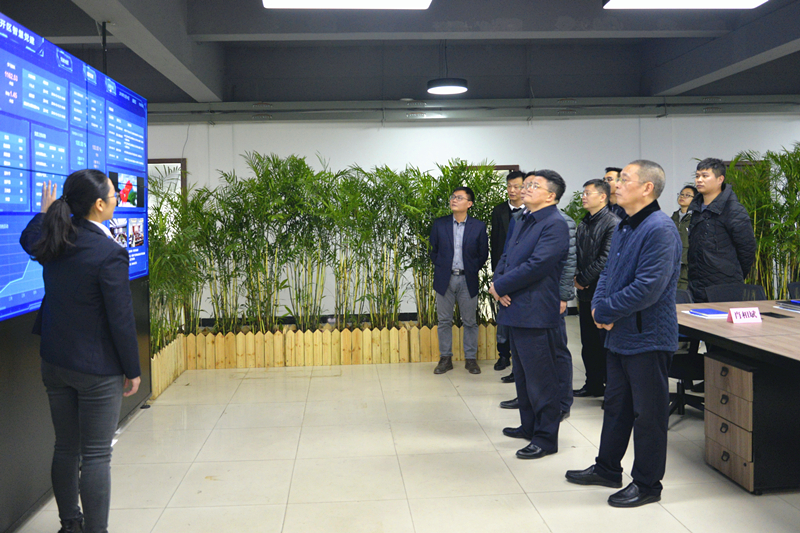 省国资委党委书记、主任陈德勤一行莅临国泰集团调研巡察基层3pq4wuuhtjf.jpg